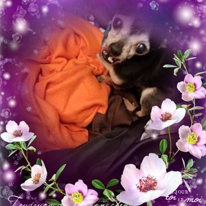 Meet your Posher, Sue